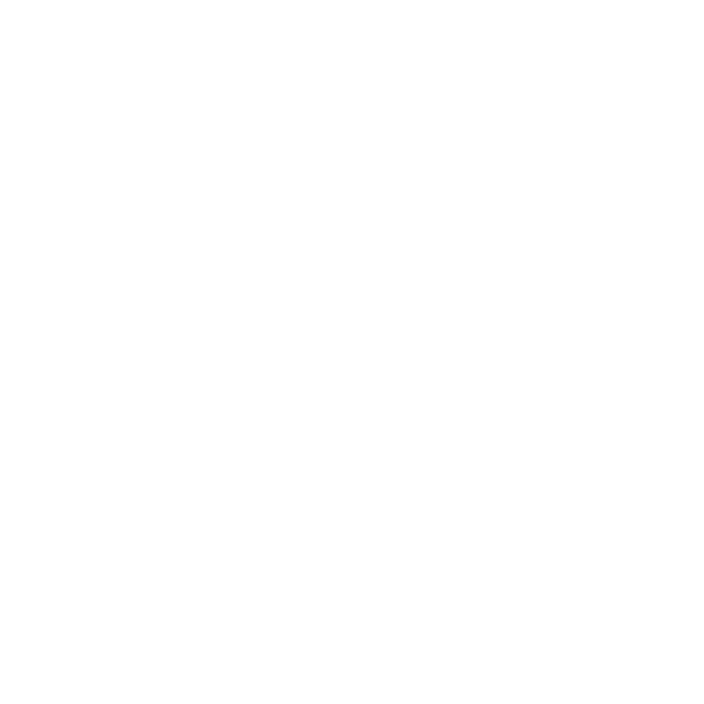 CIR Logo copia 4 CIR Logo copia 4